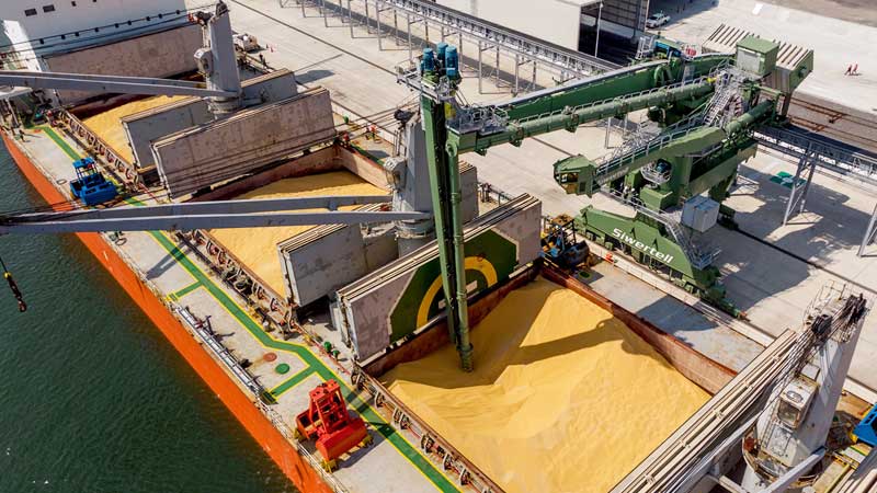 ইউক্রেনের শস্য রফতানি কমেছে ২২%